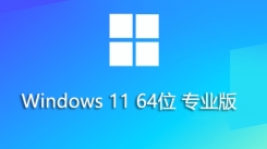 Windows 11 64位23H2专业纯净版安装方法及步骤解析