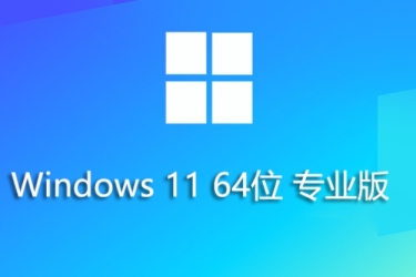 Windows 11 64位23H2专业纯净版安装方法及步骤解析