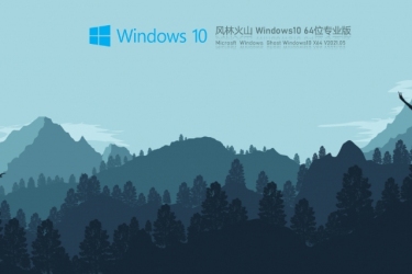 风林火山Win10 64位专业版V2021.05安装方法与步骤