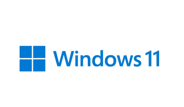 Windows 11 64位专业优化版：详细安装方法全解析