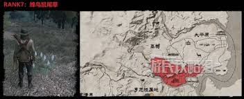 荒野大镖客：救赎捕猎大师挑战通关秘籍大公开