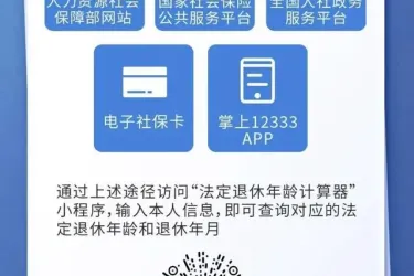 法定退休年龄计算器：精准算出你的退休时刻开启养老规划