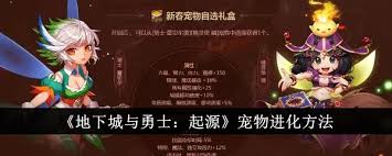 地下城与勇士起源版本：探秘获取熊猫宠物的具体方法