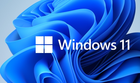 微软Win11旗舰版安装方法 教你如何安装微软Win11旗舰版