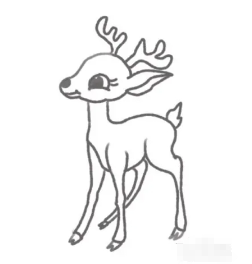 Sketchbook绘画教程：从线条到色彩绘制灵动梅花鹿