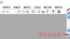 SecureCRT使用教程：如何将SecureCRT设置成中文