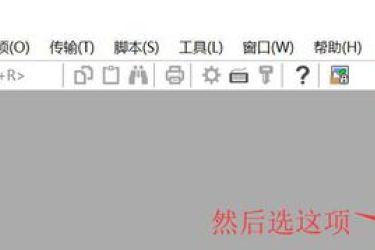 SecureCRT使用教程：如何将SecureCRT设置成中文