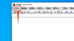 SecureCRT新建会话连接全流程：轻松掌握连接方法