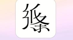 学霸必备14款软件：开启高效学习、知识探索与能力提升之旅