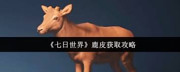七日世界生存指南：探秘获取鹿皮的有效方法