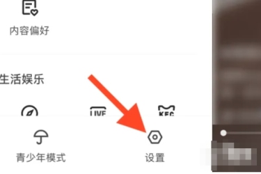 快手极速版自定义快手号方法：如何在快手极速版自定义快手号