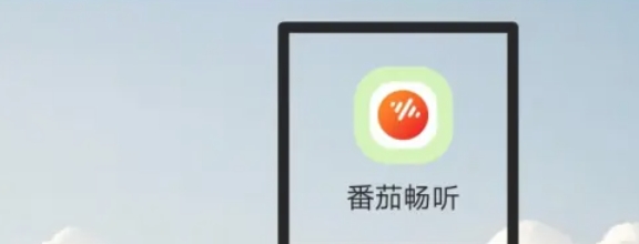 番茄畅听如何更新到最新版本？这里有详细方法