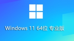Win11 23H2 64位专业精简版安装方法：从自身安装自身的步骤