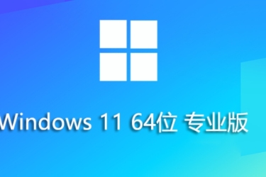 Win11 23H2 64位专业精简版安装方法：从自身安装自身的步骤