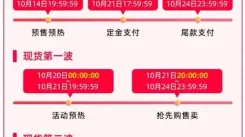 2024年双11玩法大揭秘！何时开启及精彩玩法全知晓