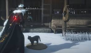 《燕云十六声饮马隘猫戏位置探寻：究竟藏身何处？》