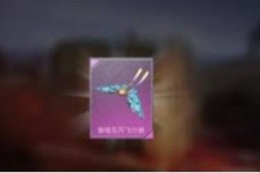 和平精英春暖花开飞行器价格揭秘：究竟售价几何？