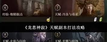 龙息神寂风暴领域副本通关指南：全流程解析与实用技巧