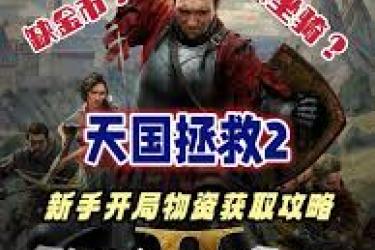 天国拯救2盗窃机制玩法全解析：掌握技巧开启别样冒险