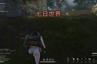 七日世界无价之宝任务全攻略：究竟如何才能顺利完成？