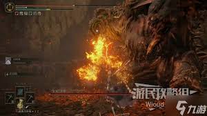 《艾尔登法环》狂龙贝勒打法全解析：掌握技巧轻松应对
