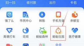 小鸡宝宝考考你：蛇皮果是长在高大树上吗？快来一探究竟