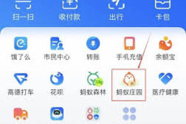 小鸡宝宝考考你：蛇皮果是长在高大树上吗？快来一探究竟