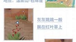 心动小镇探寻：紫紫飘飘灰尘虫究竟在何处能够抓捕？