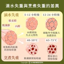 《探秘无人异常失重现象：究竟位置在哪引发深度探寻》