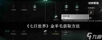 七日世界金羊毛快速获取攻略：助你轻松斩获关键道具