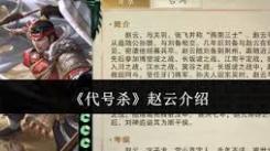 《惊！竟欲用代号展开行动，目标直指名将赵云》