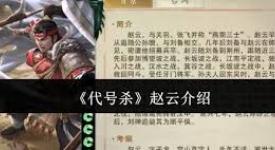 《惊！竟欲用代号展开行动，目标直指名将赵云》