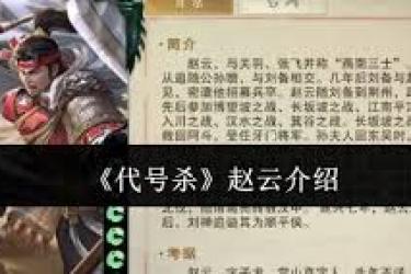 《惊！竟欲用代号展开行动，目标直指名将赵云》