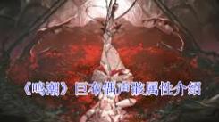 《探秘鸣潮2.1：巨布偶声骸的神秘属性究竟是什么？》