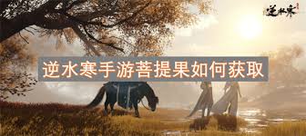 《逆水寒手游探秘：菩提果获取全攻略大公开 》