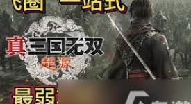 《真三国无双起源：回轮武艺效果全解析与获取教程大公开》
