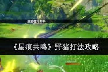 《星痕共鸣中野猪怎么打？超实用打法攻略来了》
