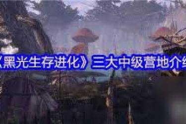 黑光生存进化：探秘高级营地暗影部落的独特玩法