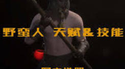 越来越黑暗德鲁伊适配武器大揭秘：哪些才是最佳之选？