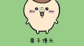 口袋吉伊卡哇栗子馒头（普通）：探秘其究竟拥有怎样独特的技能