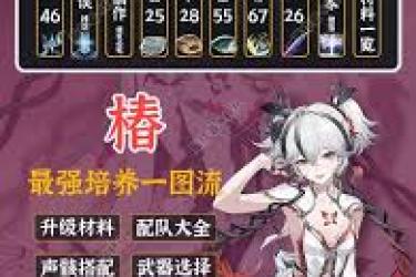 《鸣潮椿配队大揭秘：探索最佳组合与战斗策略》