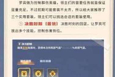 龙石战争罗宾配队指南：探寻最强搭配组合