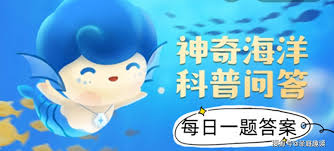 盐沼的正确说法是什么：探寻这一生态系统的准确称谓