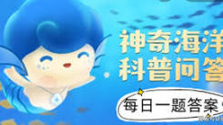 盐沼的正确说法是什么：探寻这一生态系统的准确称谓