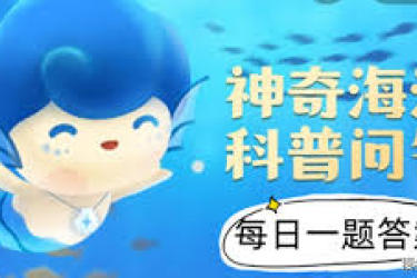 盐沼的正确说法是什么：探寻这一生态系统的准确称谓