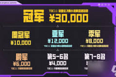 云顶之弈TOC11赛制规则：详细解析与独特之处
