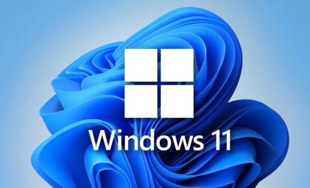 Windows 11 64位家庭版软件安装方法：从系统到软件的全流程指南