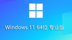 Windows 11 64位专业优化版：详细安装方法大揭秘