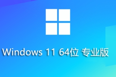 Windows 11 64位专业优化版：详细安装方法大揭秘