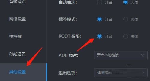 雷电模拟器在哪开启ROOT权限 开启ROOT权限的方法